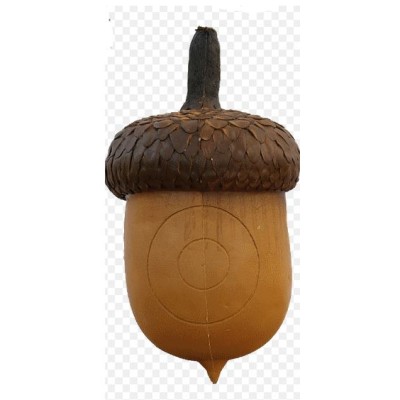 3Di Acorn