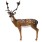 3D Animal Targets