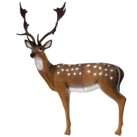 SRT Fallow Deer