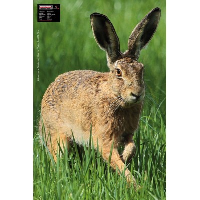 Maximal Hare 