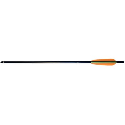 6 Crossbow Bolts 