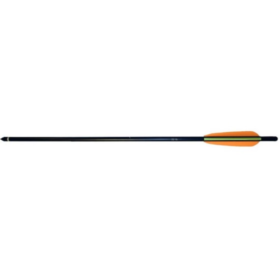 6 Crossbow Bolts 