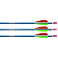 Finished Arrows