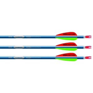 Finished Arrows