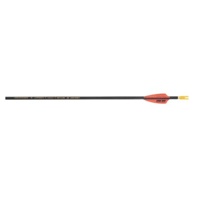 Skylon Paragon Arrows