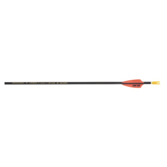 Skylon Paragon Arrows