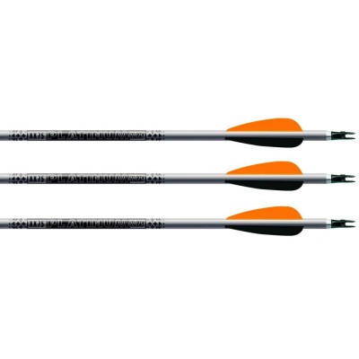 Easton Platinum XX75